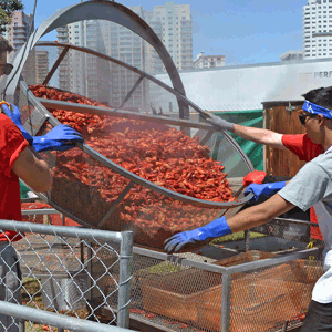 Crawfish