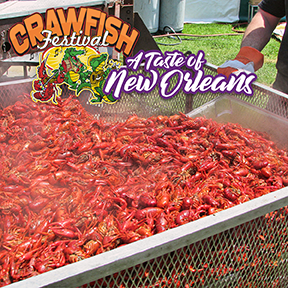 Crawfish Festival Boiled Crawfish