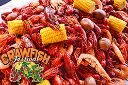 Live Crawfish