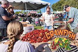 Crawfish Boil