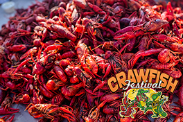 Crawfish Festival Boil